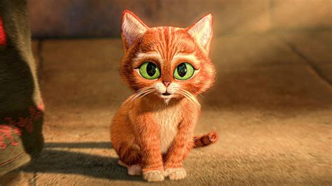 pussbebe|pussbebe videos .